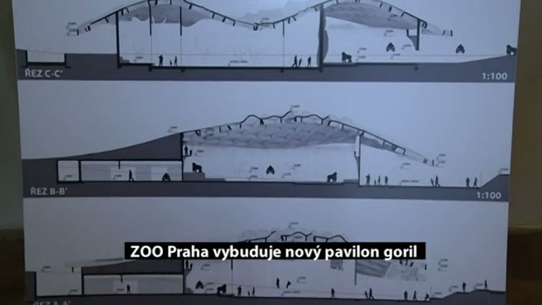 ZOO Praha vybuduje nový pavilon goril