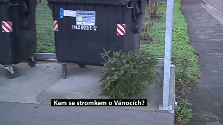 Kam se stromkem po Vánocích?