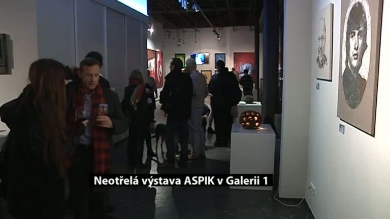 Neotřelá výstava ASPIK v Galerii 1