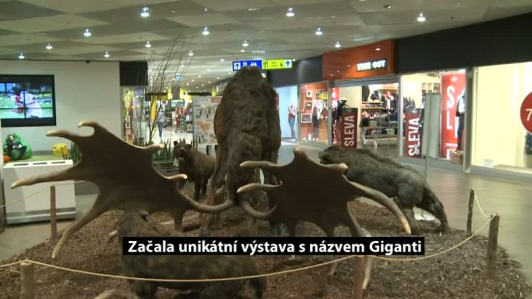 Začala unikátní výstava s názvem Giganti