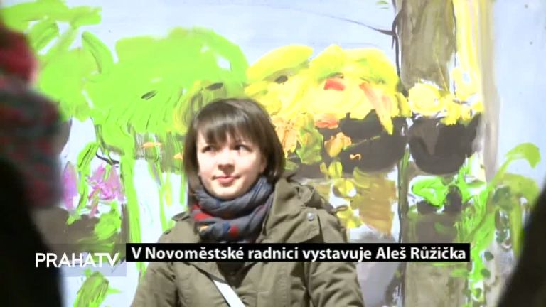 V Novoměstské radnici vystavuje Aleš Růžička