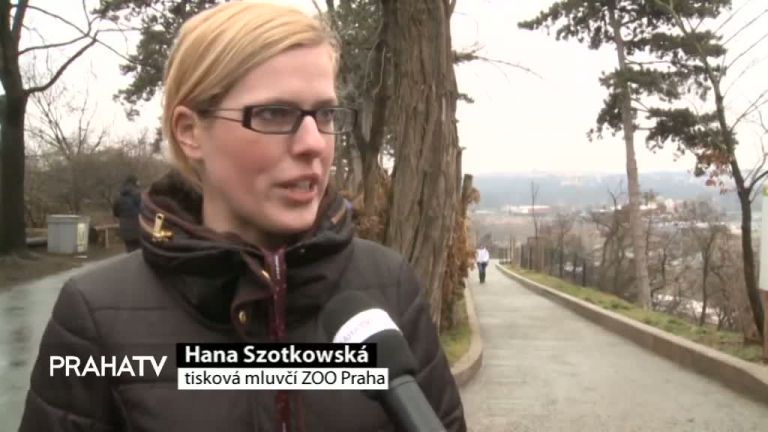 V zoo se konal 3. ročník běhu Zakázankou