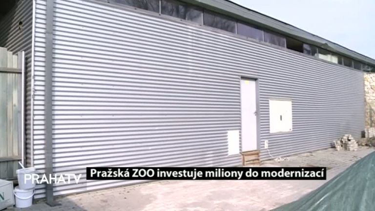 Pražská ZOO investuje miliony do modernizací