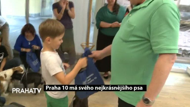 Praha 10 má svého nejkrásnějšího psa