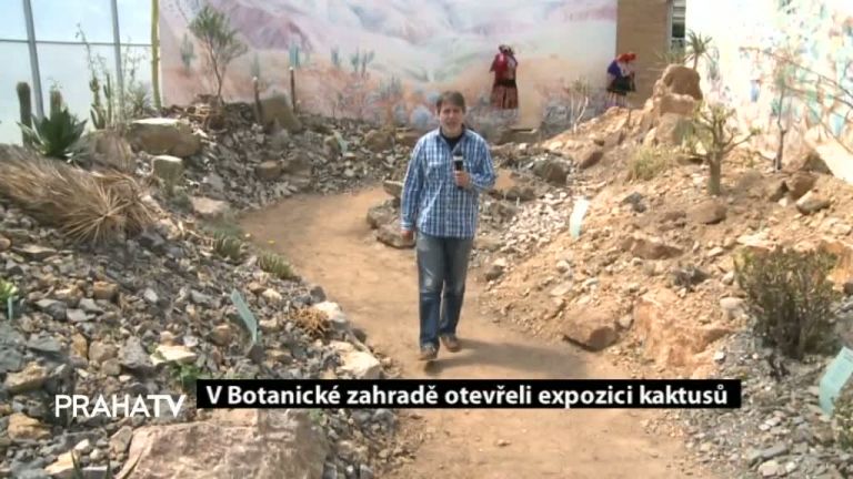 V Botanické zahradě otevřeli expozici kaktusů