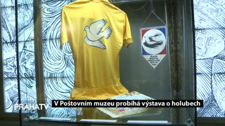 V Poštovním muzeu probíhá výstava o holubech