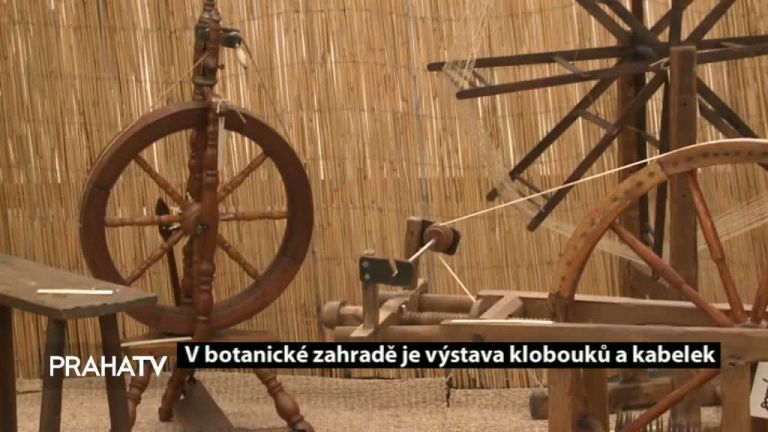 V botanické zahradě je výstava klobouků a kabelek