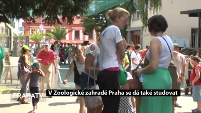 V Zoologické zahradě Praha se dá také studovat