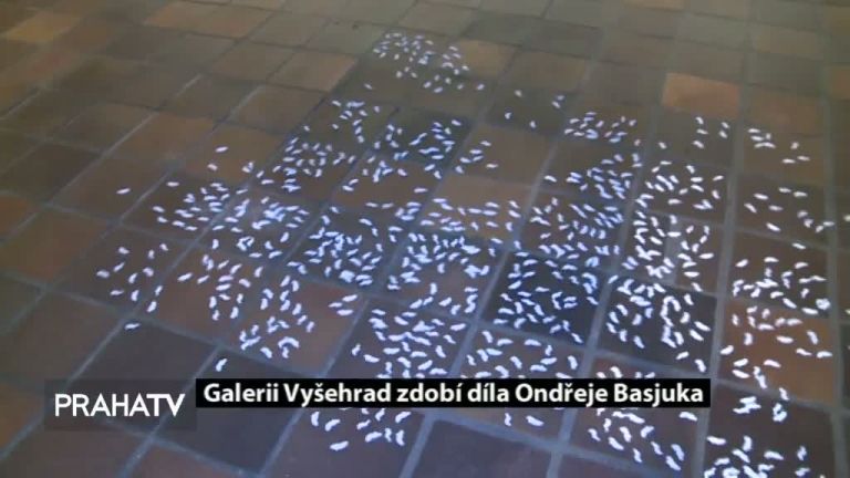 Galerii Vyšehrad zdobí díla Ondřeje Basjuka