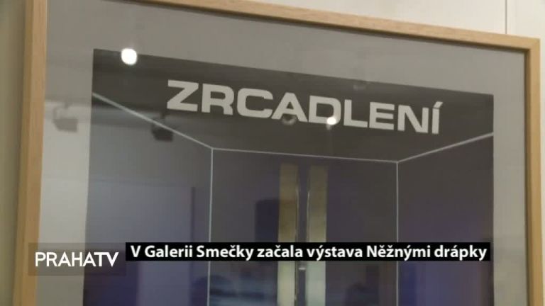 V Galerii Smečky začala výstava Něžnými drápky