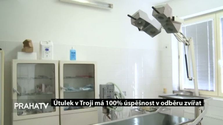 Útulek v Troji má 100% úspěšnost v odběru zvířat