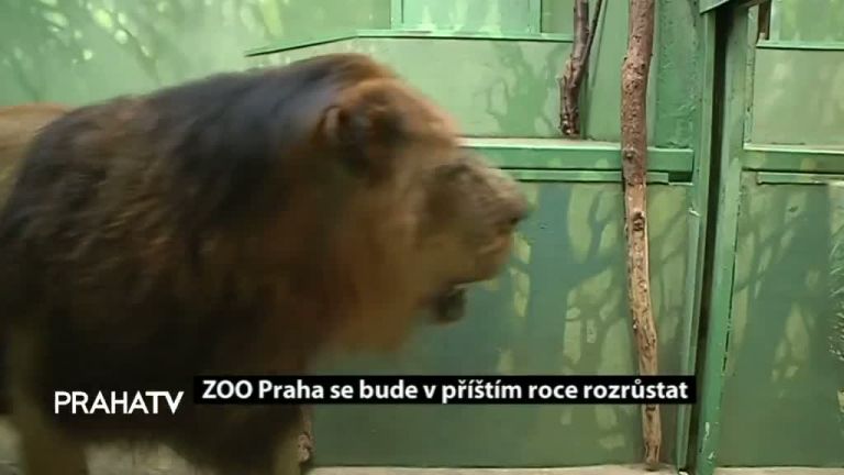 ZOO Praha se bude v příštím roce rozrůstat