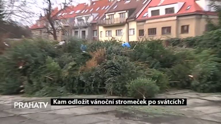 Kam odložit vánoční stromeček po svátcích?