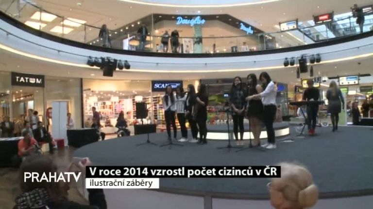 V roce 2014 vzrostl počet cizinců v ČR