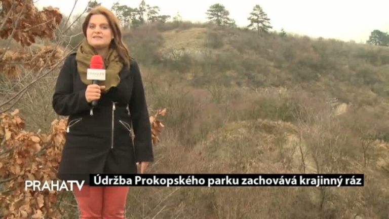 Údržba Prokopského parku zachovává krajinný ráz
