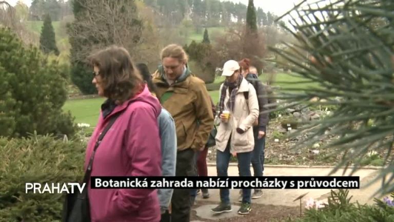 Botanická zahrada nabízí procházky s průvodcem