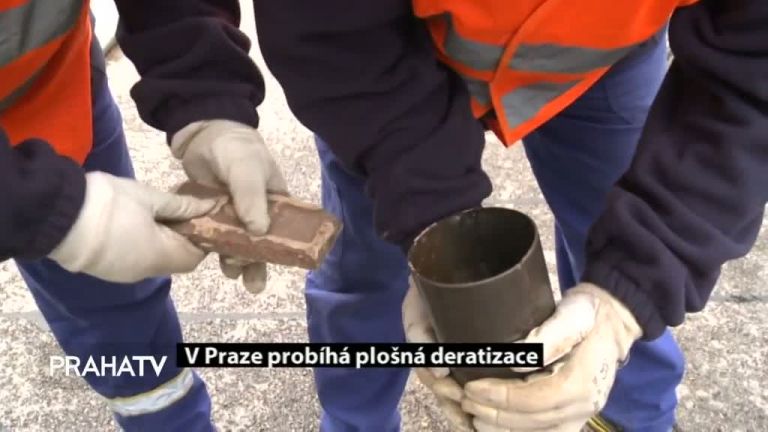 V Praze probíhá plošná deratizace