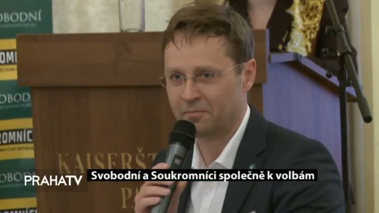 Svobodní a soukromníci společně k volbám