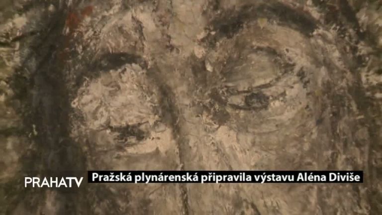 Pražská plynárenská připravila výstavu Aléna Diviše