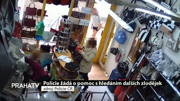 Policie žádá o pomoc s hledáním dalších zlodějek