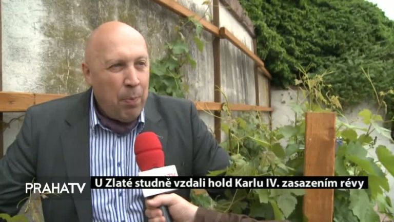 U Zlaté studně vzdali hold Karlu IV. zasazením révy