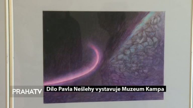 Dílo Pavla Nešlehy vystavuje Muzeum Kampa