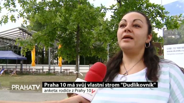 Praha 10 má svůj vlastní strom Dudlíkovník