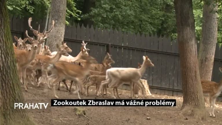 Zookoutek Zbraslav má vážné problémy