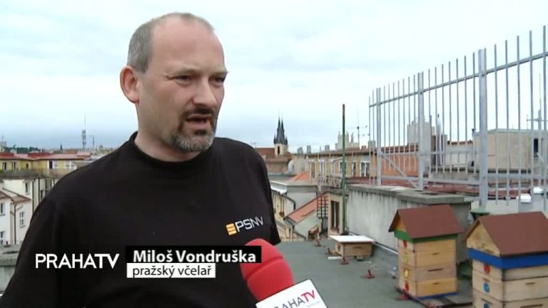 Pražští včelaři staví úly na střechách domů