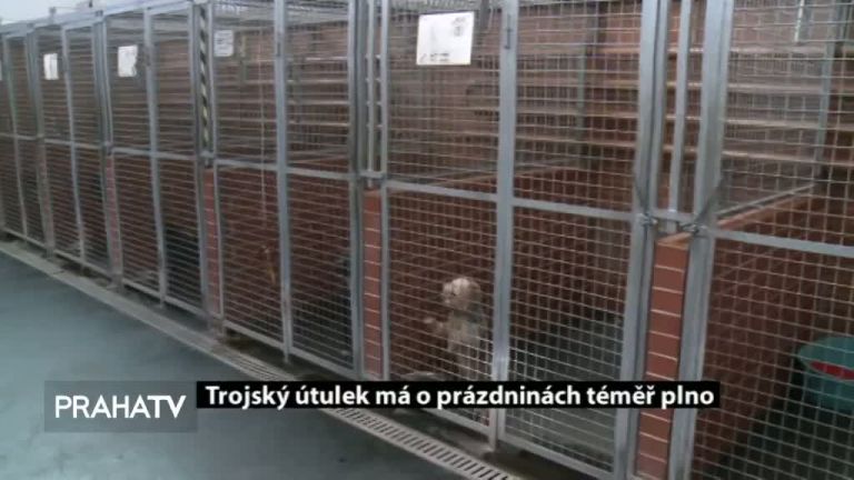 Trojský útulek má o prázdninách téměř plno