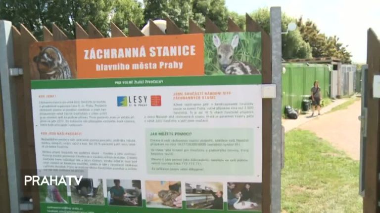 Praha má svou stanici pro zraněná zvířata