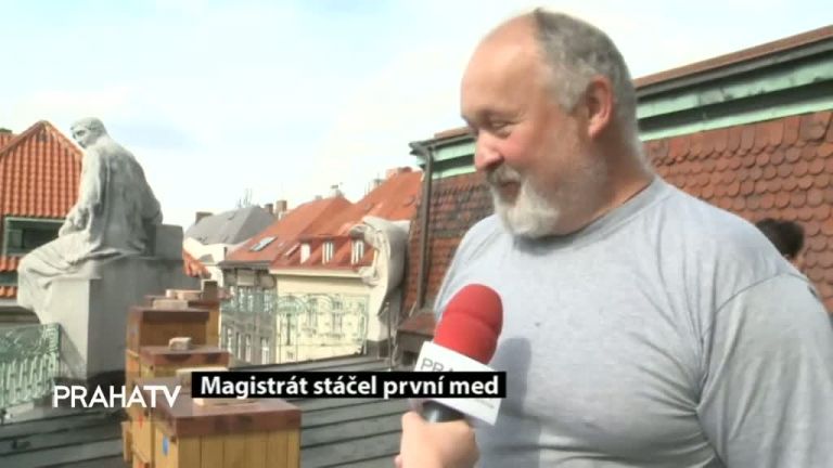 Magistrát stáčel první med