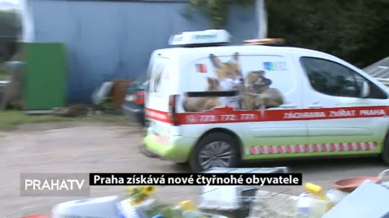 Praha získává nové čtyřnohé obyvatele