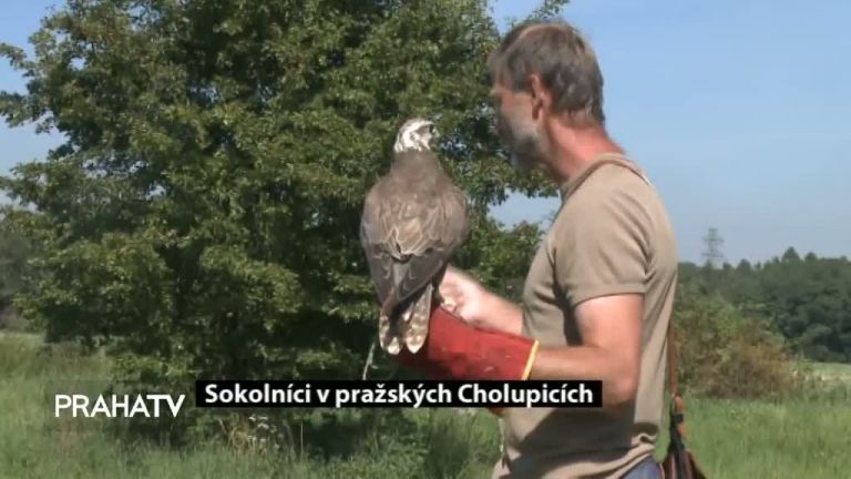 Sokolníci v pražských Cholupicích