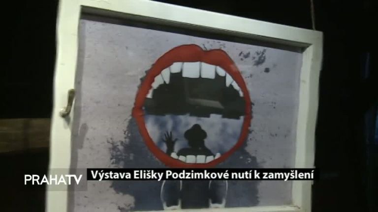 Výstava Elišky Podzimkové nutí k zamyšlení