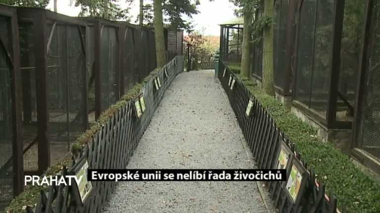 Evropské unii se nelíbí řada živočichů