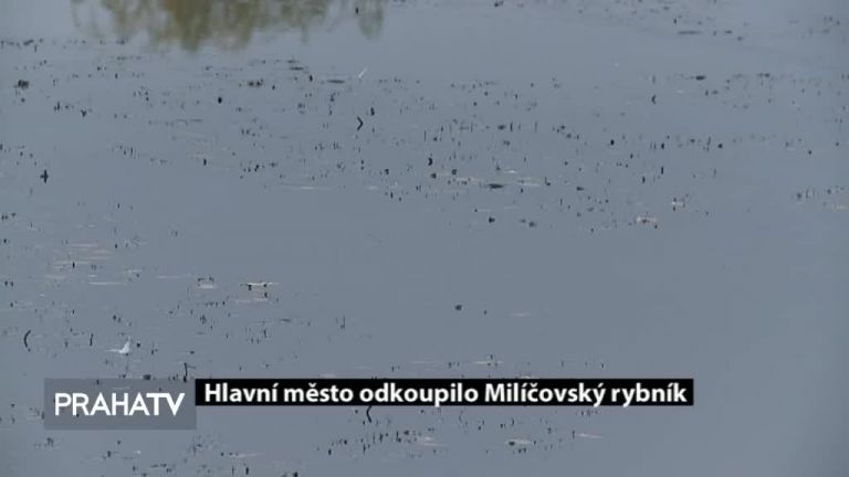 Hlavní město odkoupilo Milíčovský rybník