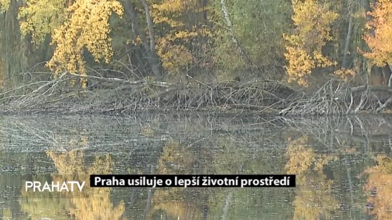 Praha usiluje o lepší životní prostředí