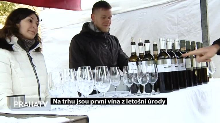 Na trhu jsou první vína z letošní úrody