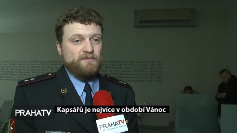 Kapsářů je nejvíce v období Vánoc