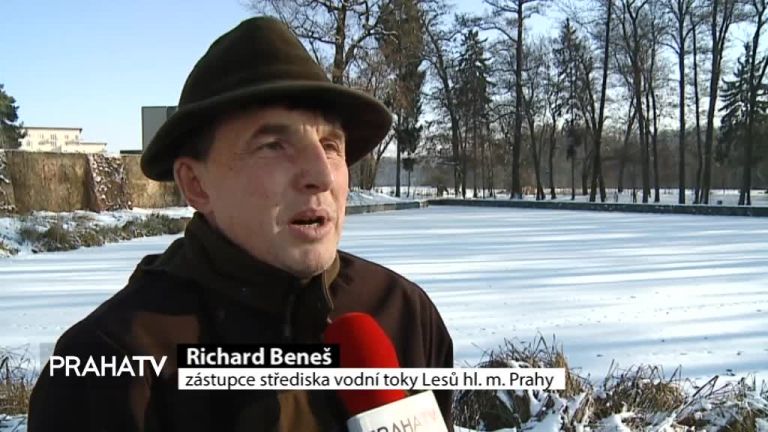 Bruslení na rybnících má svá rizika