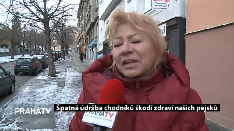 Špatná údržba chodníků škodí zdraví našich pejsků
