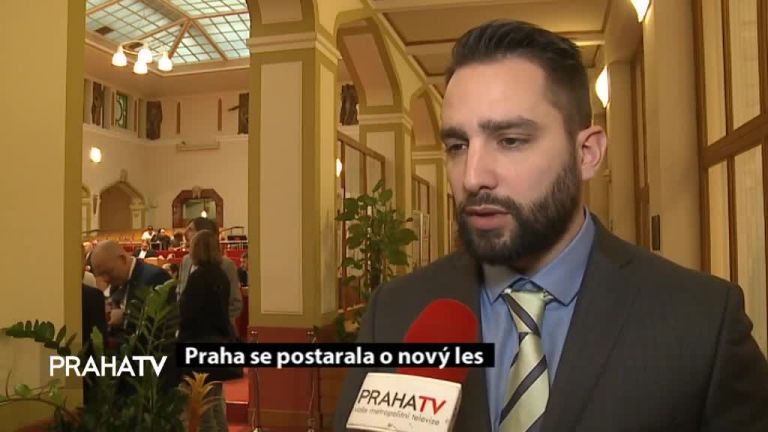 Praha se postarala o nový les