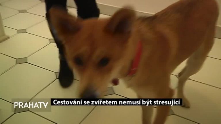 Cesta ke vzdělání i letos podpoří nadané studenty