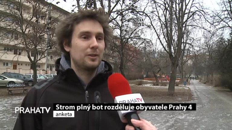 Strom plný bot rozděluje obyvatele Prahy 4