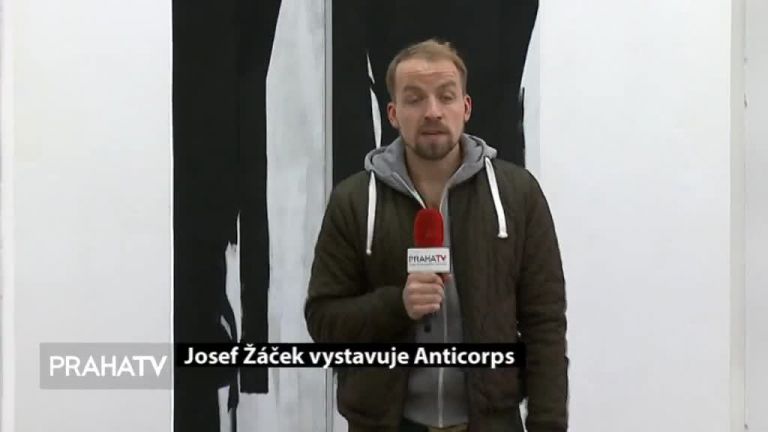 Josef Žáček vystavuje Anticorps