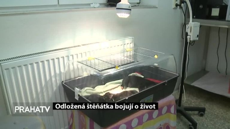 Palmovka bude bezbariérová