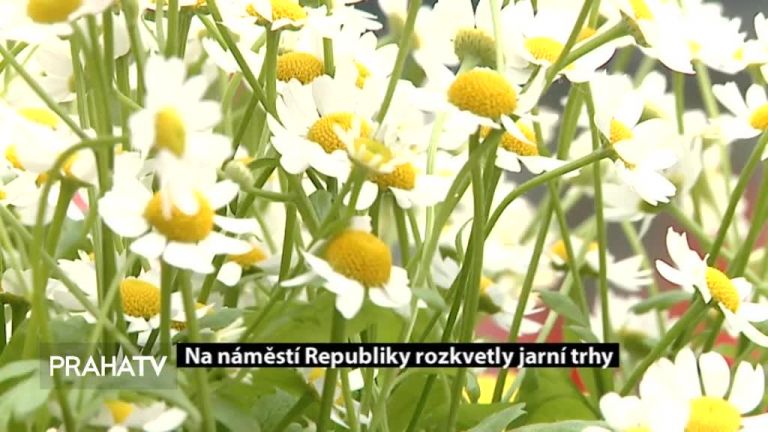 Na náměstí Republiky rozkvetly jarní trhy