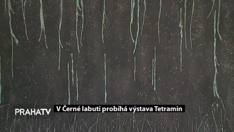 V Černé labuti probíhá výstava Tetramin