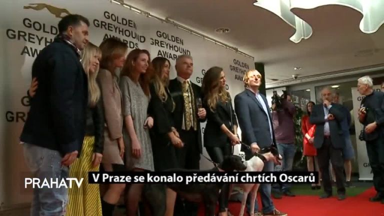 V Praze se konalo předávání chrtích Oscarů